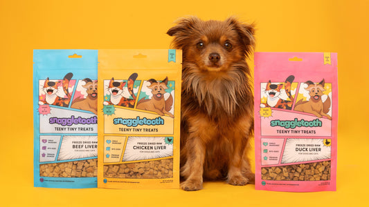 Are Freeze-Dried Treats Worth It?