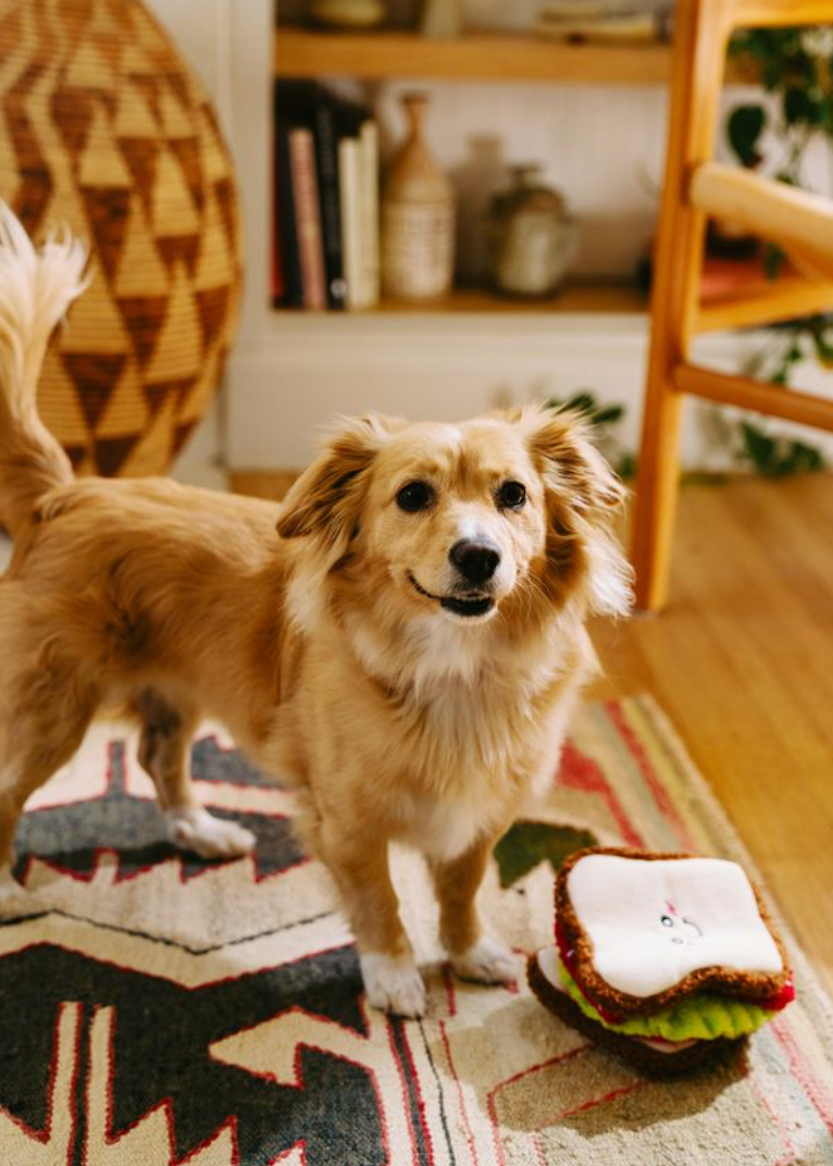 ZippyPaws - BLT Sandwich - Snufflerz - Interactive Dog Toy