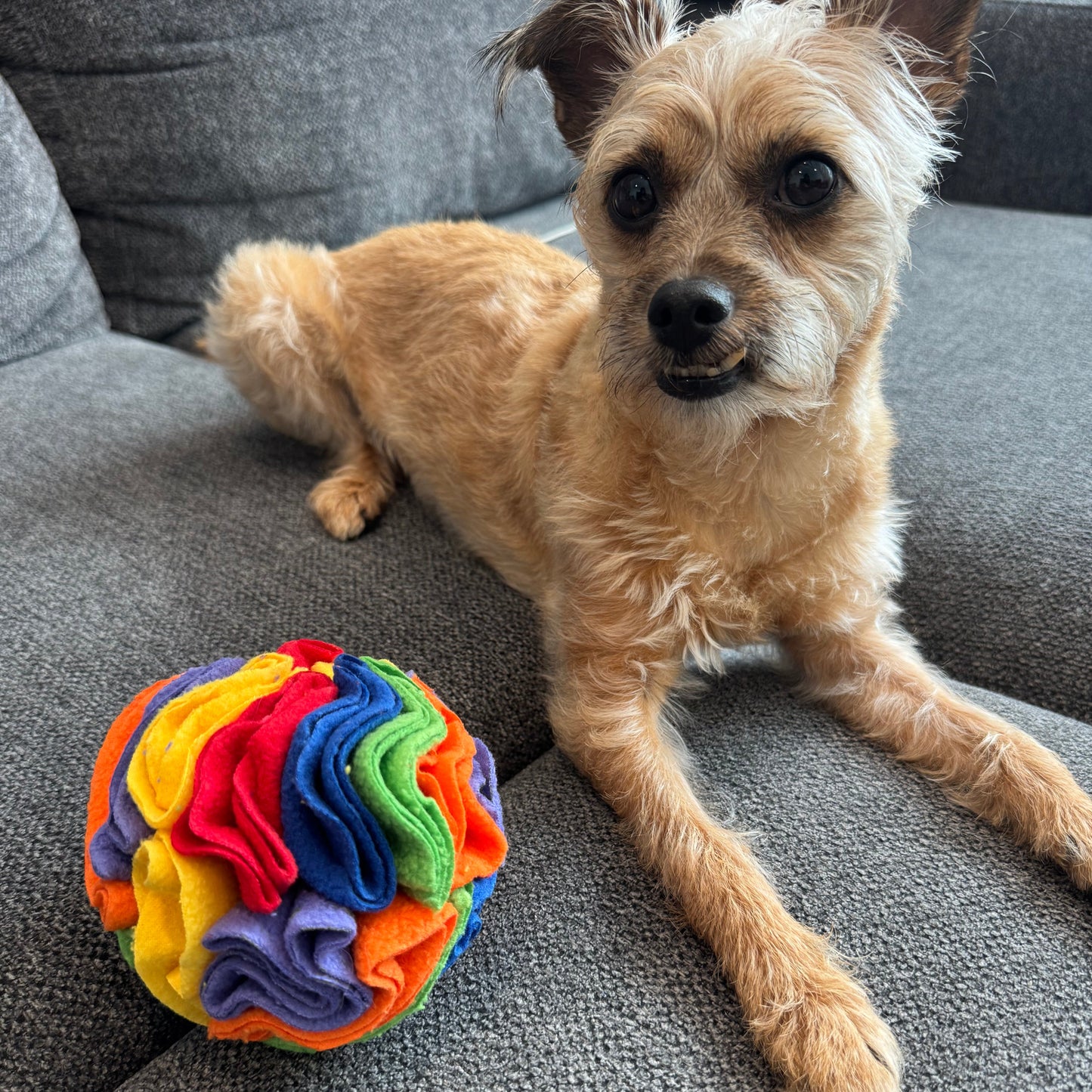 Rainbow Snuffle Ball Toy