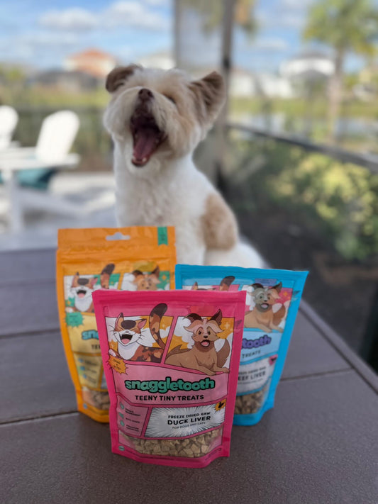 Small Dogs, Big Nutrition: Choosing Healthy Treats for Toy Breeds | Snaggletooth Pets