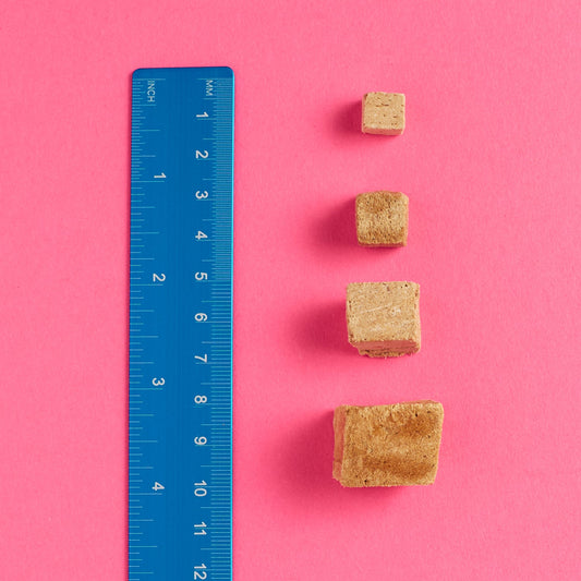Low Calorie Training Treats: The Math Your Dog Needs
