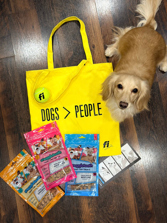 Black Friday 2025 is Live!