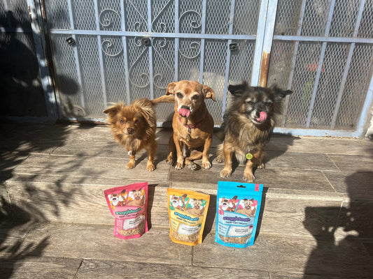 5 Mistakes to Avoid When Choosing Treats for Small Dogs