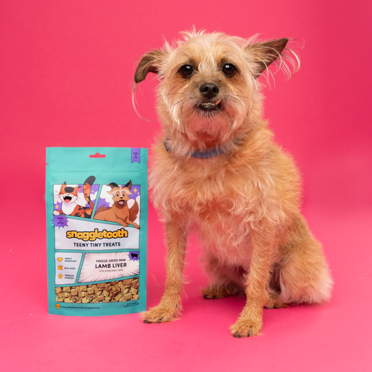 Chicken Allergy in Dogs? Try Novel Protein Treats