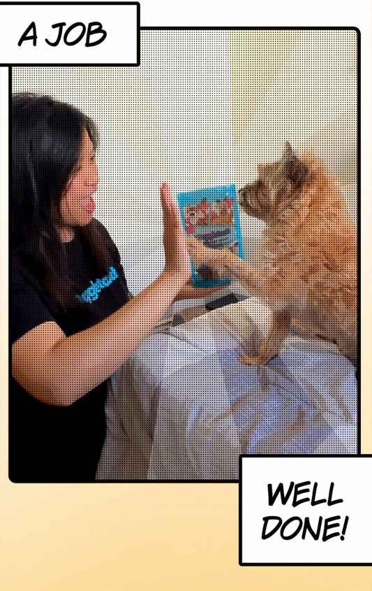 Snaggletooth Turns One! 🎂