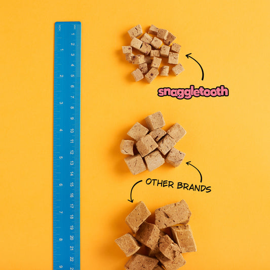 The Ultimate Guide to Training Treats