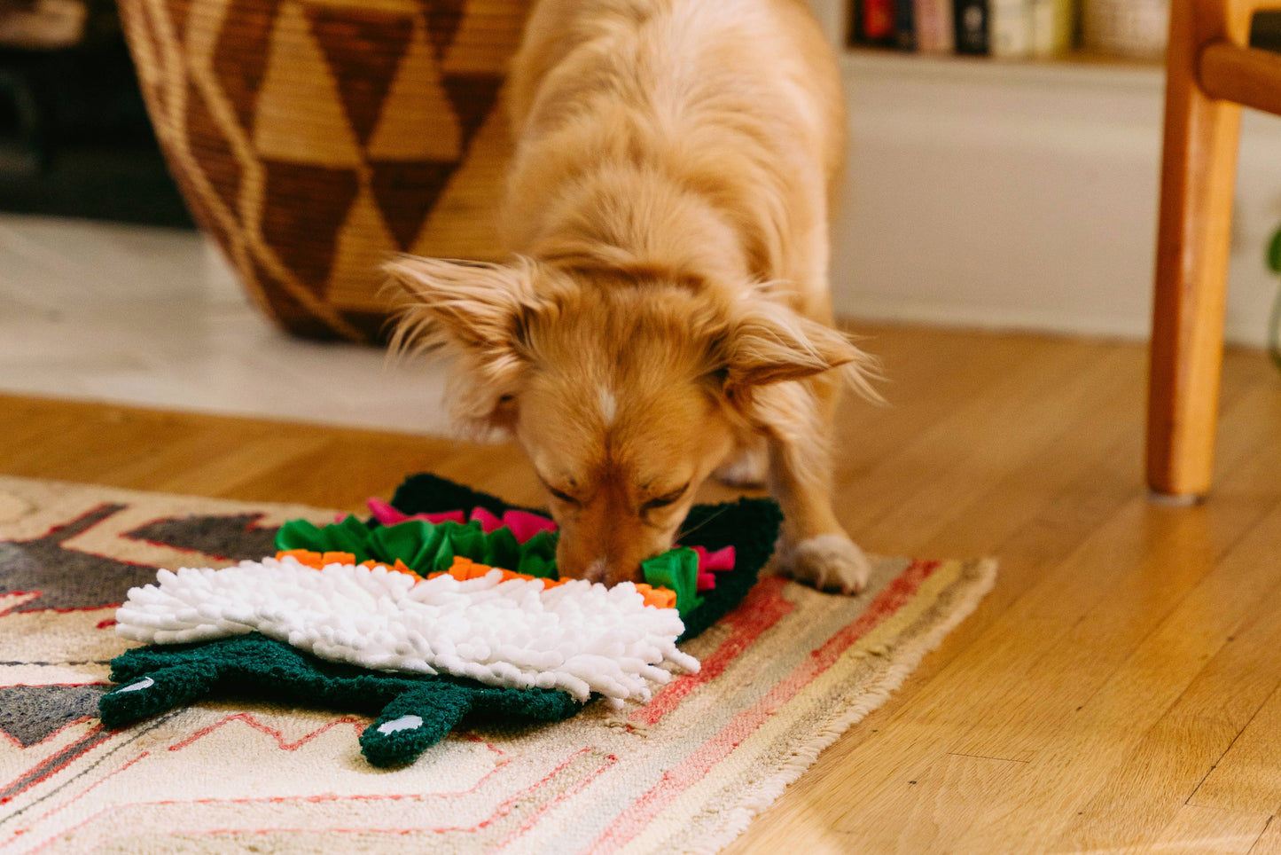 ZippyPaws - Sushi - Snufflerz Roll - Interactive Dog Toy