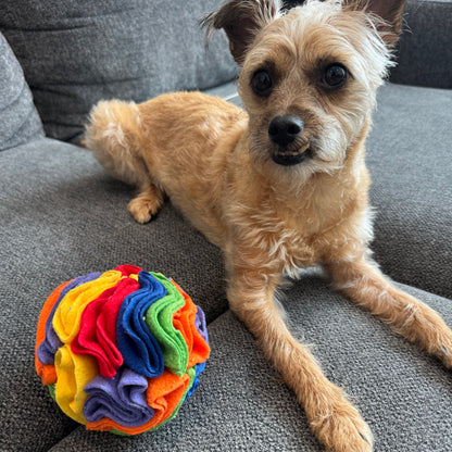 Rainbow Snuffle Ball Toy