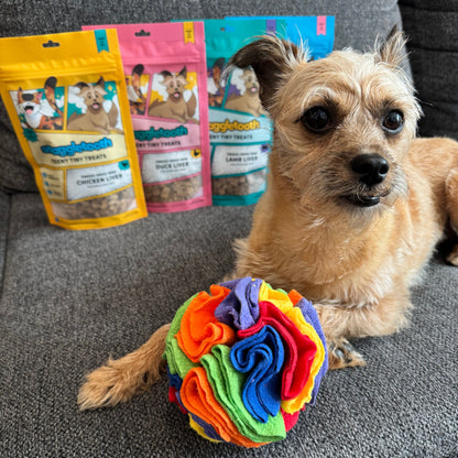 Rainbow Snuffle Ball Toy
